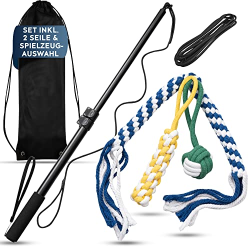 Ange de stimulation robuste et léger avec choix de 4 jouets d'éveil canin - 2