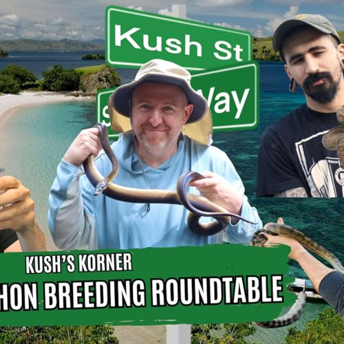 Scrub Python Breeding Roundtable | Kush's Korner Live Podcast Por arte de portada