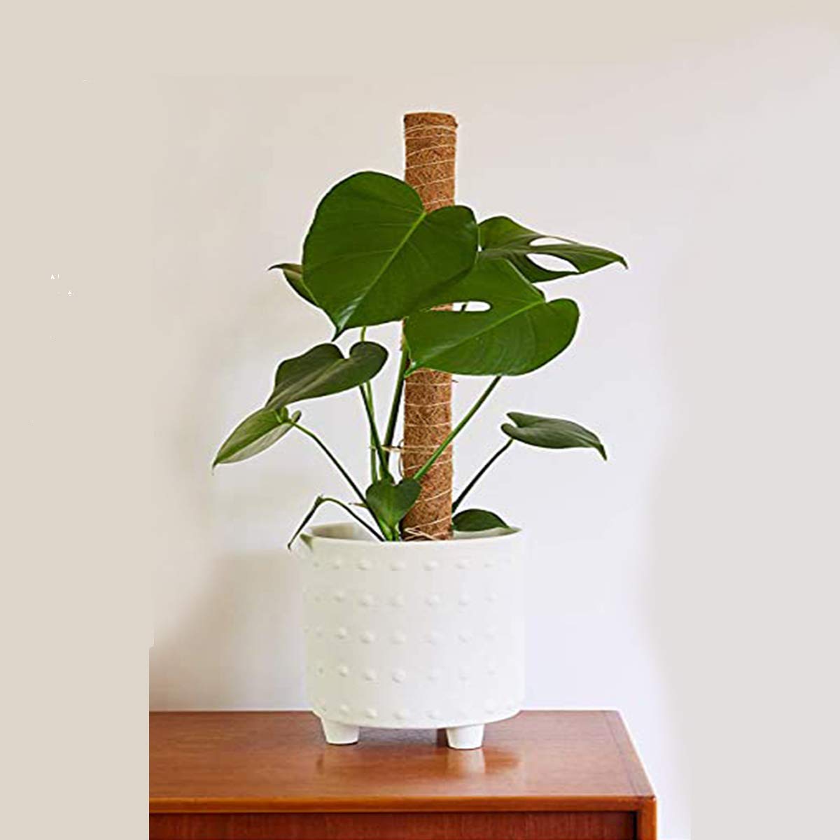 Bechoicen Lot De 2 Piquets En Fibre De Coco Pour Totem - Pour