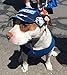 Dog Hat - Giants Sports Fabric