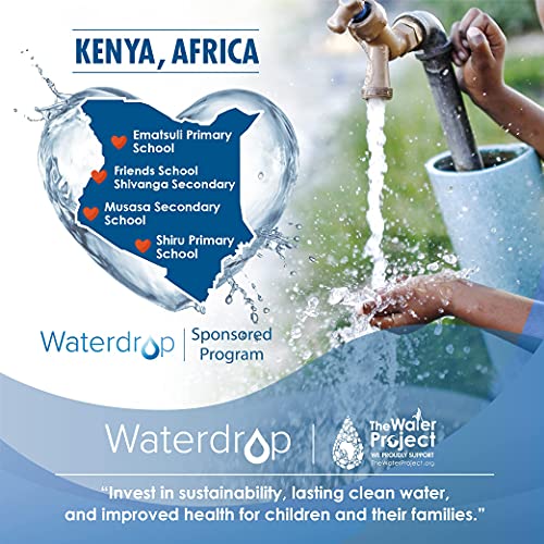 Waterdrop WD-F13 Replacement For Ge® Mwf®, Smartwater® Mwfp, Mwfint, Mwfa, Gwf, Hdx Fmg-1, Kenmore® 9991, Gse25Gshecss, Wfc1201 Water Filter thumb #7