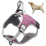 🐶🐱 Hebilla de aleación de aluminio y hebilla ajustable: el material de aleación de aluminio de alta calidad tiene anticorrosión, alta dureza y sin deformación, tratamiento antióxido mate, apariencia de alta gama, se puede ajustar a una posición cómoda de acuerdo con el busto de la mascota, para evitar que la correa del pecho esté demasiado apretada.