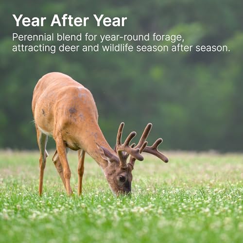 Brassica Blend For Deer