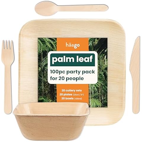 HAAGO Eco-Friendly 100-Piece Tableware Set Cover
