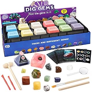 Sillbird Gemstone Dig Kit, Dig Up 12 Gems Blocks with Excavation Kit, Excavate Real Gemstones with Mining Tools, STEM Science Educational Toys Rock Collection Gift for Boys & Girls
