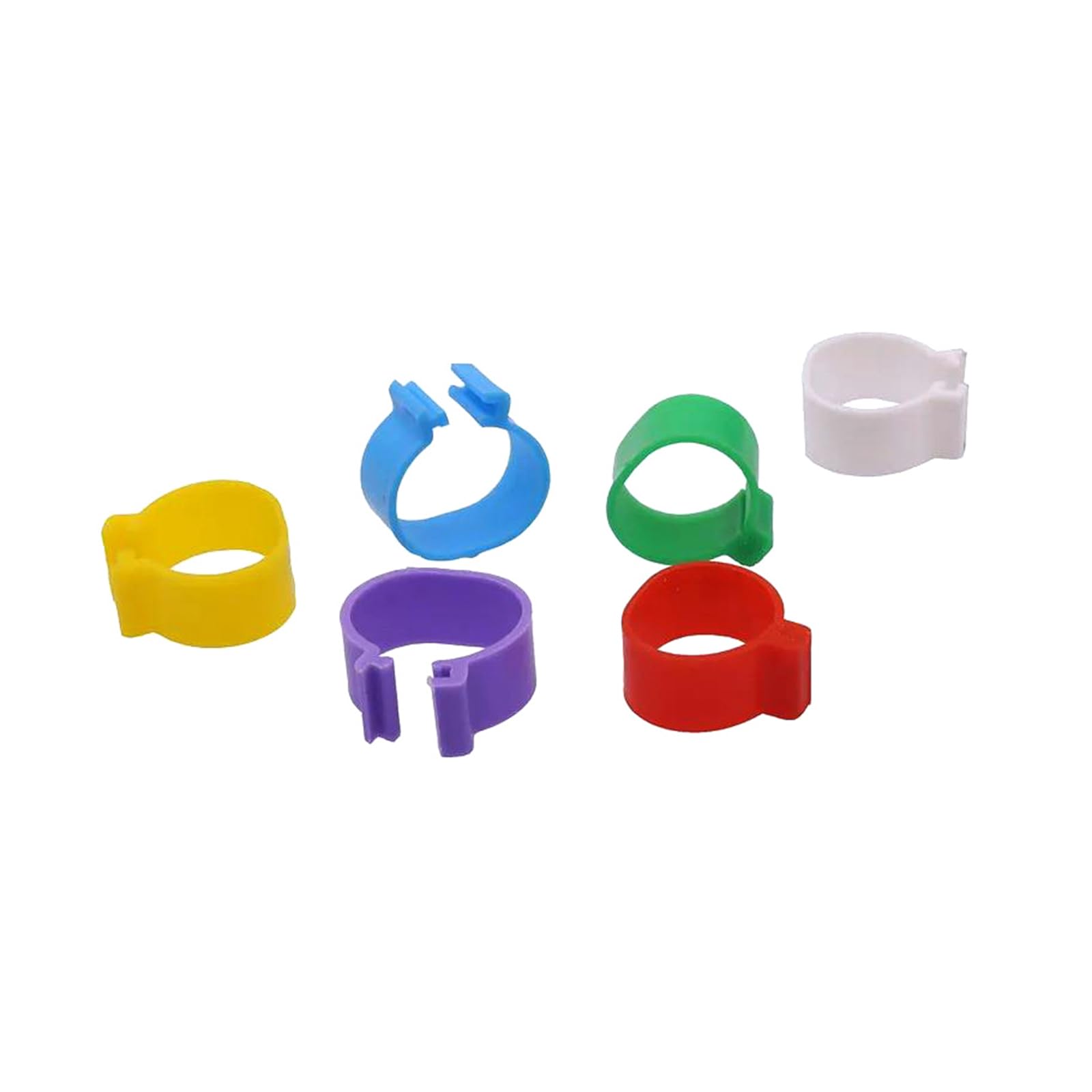 1000 pezzi di anelli semplici per zampe di pollame, diametro interno 16 mm, per l'identificazione di polli e piccioni,Bianco 1000 pezzi,Diametro interno 16 mm