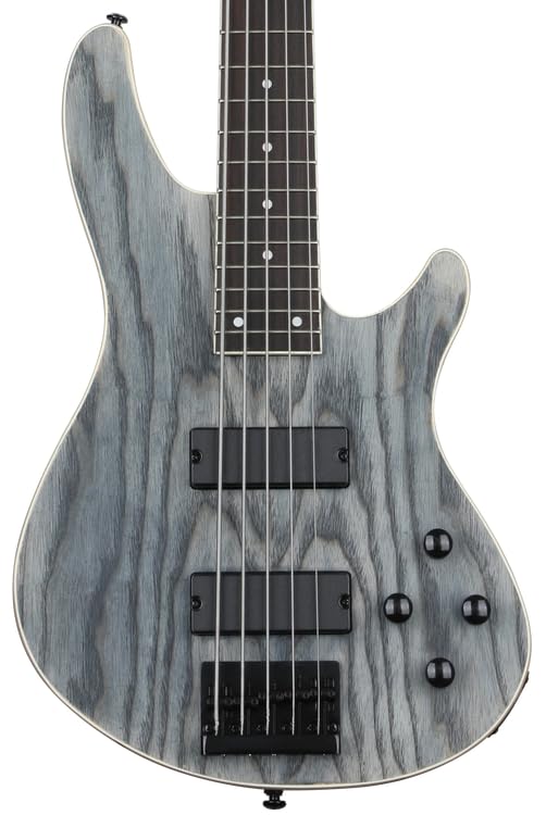 Amazon.com: Schecter C-5 Standard Electric Bass - Charcoal Satin