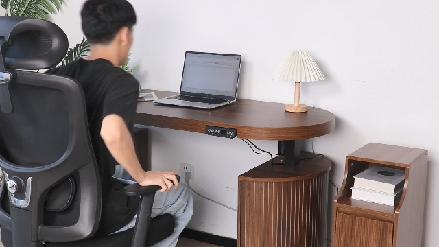 Amazon.com: Xyulmeo Mid Century Modern Electric Standing Desk with