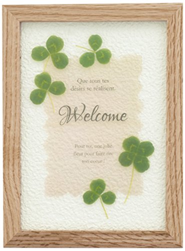 キシマ(Kishima) ハーバリウム アートフレーム クローバー×Natural 18W 1D 24H KH-61074