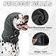 IECOii Ohrenschutz Hund, Lärmschutz Hund Ohrenschützer Für Hunde Lärmschutz Haustier Gehörschutz Hunde Ear Wrap HundHead Cover HundOhrenverband Hündchen Ear Buddy Haustier Ohrrandnekrose (Grau,M)