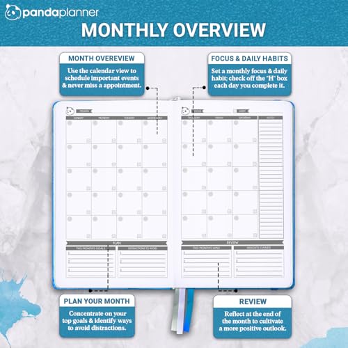 Panda Planner Classic 2025-2026 Compact Cyan