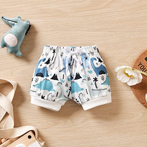 HINTINA Preemie Newborn Infant Baby Boys Outfits Dinosaur Bodysuit Romper Short Pants Hats 3Pcs Summer Clothes Set3