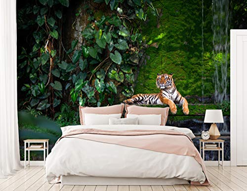 Wandmotiv24 Foto Murale Foresta con tigre, giungla...