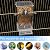 Bird Parrot Feeders, No Mess Automatic Cage Feeder Dispenser Food Container, Auto Bird Seed Bowl for Small Medium Birds, Cockatiel Canary Cockatoos Parakeet Conure Lovebird, Acrylic Clear (Feeder)