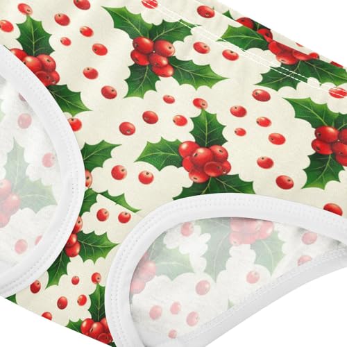 Girls' Underwear Christmas Fruit Toddle Brief Panties 23035594