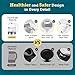 Cosori Electric Kettle, No Plastic Filter & Spout, Tea Kettle & Hot Water Boiler For Coffee & Tea, Water Heater & Teapot, Automatic Shut Off, Borosilicate glass, White, 1.7L/1500W