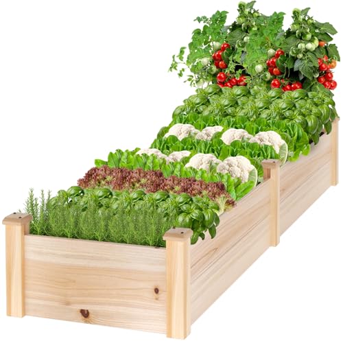 Image of MIXC 8x2ft Wooden Horticulture Raised Garden Bed Outdoor Divisible Elevated Planting Planter Box for Vegetables, Herbs, Strawberry, Flowers in Backyard and Patio, Natural Wood