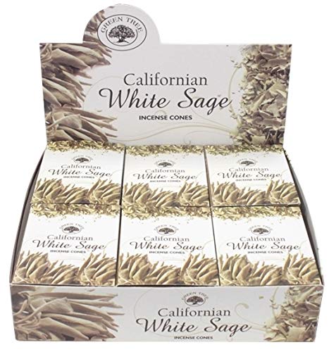 Encens green tree white sage cones - 15 grs