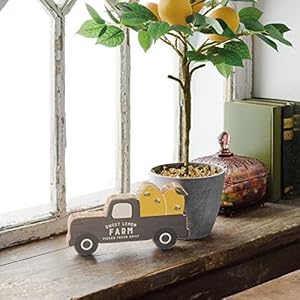   Primitives-By-Kathy-111579-Sweet-Lemon-Farm-Chunky-Sitter-8-inch-Length
