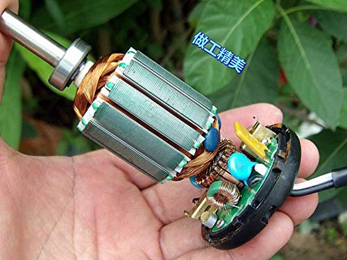 Davitu DC Motor - Ball bearing front and rear 6V12V24V48V96V120V high-power DIY dc wind generator