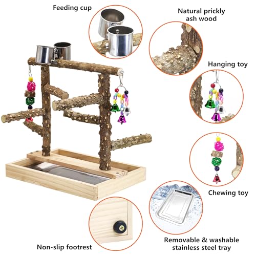 Image of BNOSDM Natural Wood Bird Playground for Training & Playing, Parrot Perch Stand Jungle Gym with Detachable Tray & Stainless Feeder Cups Parakeet Cage Playstand for Budgie, Cockatiel, African Grey