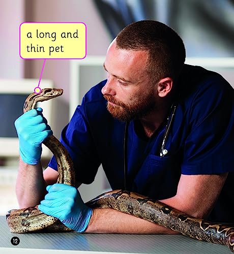 The Job of a Vet (Set 4) (Phonics Book Bag Readers)