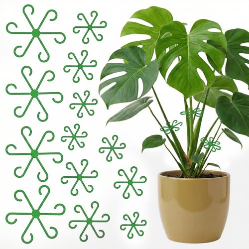 Opasyo 16PCS Plant Stem Support for Indoor Plants Climbing Houseplant Stem Supports 4 Sizes Reusable Clips for Monstera Orchid & Pothos Climbing Stem Holders (Green)