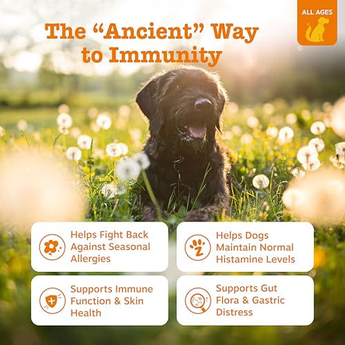 Image of Zesty Paws Dog Allergy Relief - Anti Itch Supplement - Omega 3 Probiotics for Dogs - Digestive Health - Soft Chews for Skin & Seasonal Allergies - with Epicor Pets - Bison - 90ct (Pack of 2)