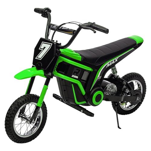 Hipicute 24V Electric Dirt Bike | 350W Electric Motorcycle