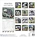 African Grey Calendar - African Grey Parrot Calendar - Parrot Calendar - Calendars 2019 - 2020 Wall Calendars - Bird Calendars - Monthly Wall Calendar by Avonside