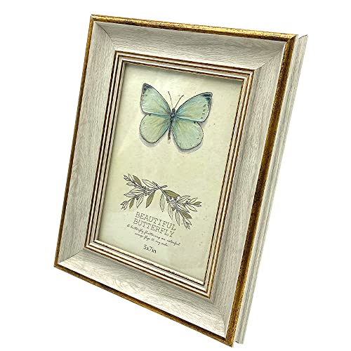 TKY tHgt[ ʐ^ KG nKL10x15cm ʐ^X^h z  Ǌ| LO a v[g ʐ^TCY (i`, 6)