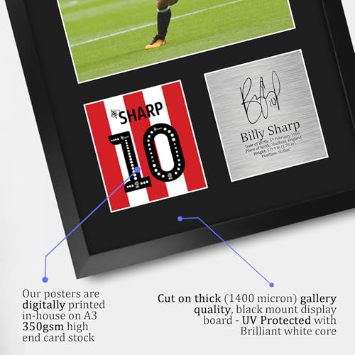 Cuadro A3 de Billy Sharp para decorar tu zona de fútbol en casa 4