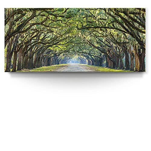 Straßenallee Bild mit 110x50cm. Wunderschönes Leinwandbild als Wandbild, Motiv, Straßenallee Alte Eichen. Zur Dekoration in Küche, Wohnzimmer, Schlafzimmer. Fertig aufgespannt Cover