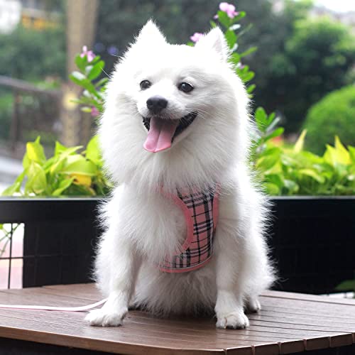 Suredoo Hundegeschirr Kleine Hunde mit Leine, Anti Zug Geschirr Reflektierend Atmungsaktiv Brustgeschirr, Welpengeschirr für Kleine Hunde (Rosa Kariert, S, Brust: 29-33cm)