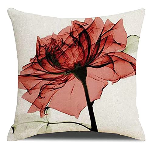 Homefeelzydys Fodere per cuscino, fodere per