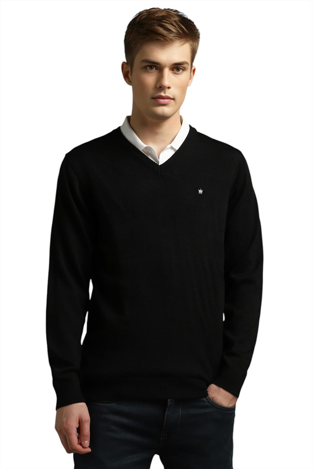 louis philippe Men Sweater-picture-37
