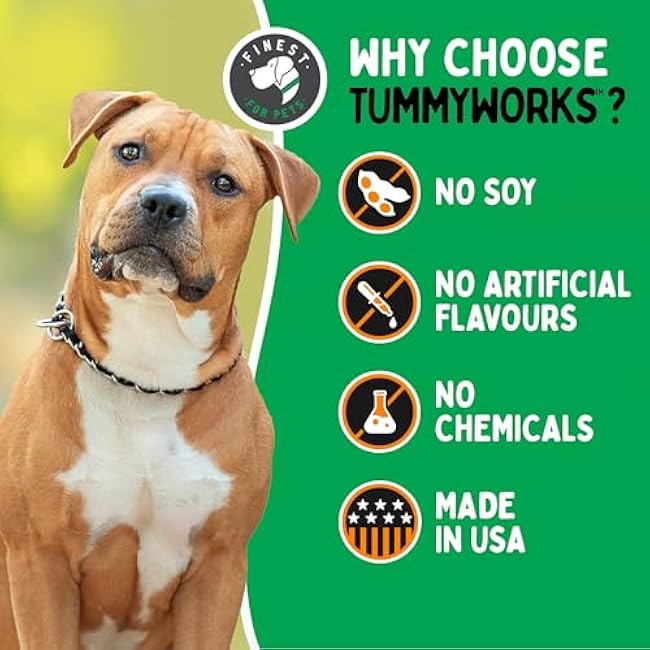 TummyWorks Probiotic 120 Soft Chews for Dogs All Ages - Supports Digestive Health, Relieves Diarrhea, Constipation, Good for Itching, Allergies, Yeast Infections. Added Digestive Enzymes, Made in USA-P0gvXj8k