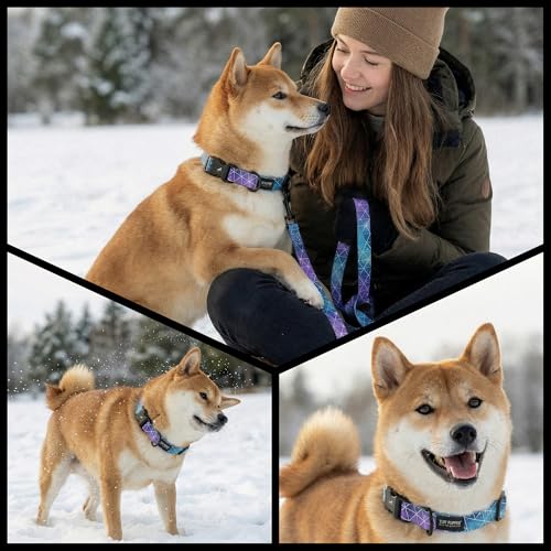Image of Tuff Pupper Premium Adjustable Dog Collar for Small Girl Dogs, Stylish Pattern Collars Designed in USA, Quick Release Buckle, Supernova Print for Female Dogs, Small (0.7 Inch Wide x 8-12 Inch Neck)