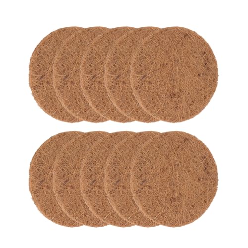 lurrose 10 sWpVRRCAlXg}bg yʒʋCybgpbh JԂgp\ zΉیpi