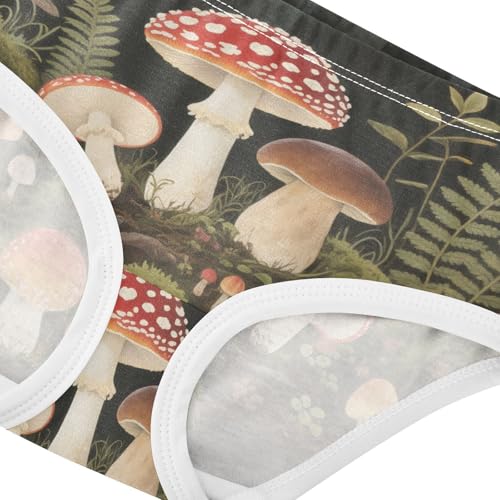 Hipster Panties Breathable Panties Organic Underpants for Baby Girls in Sizes 2T,3T, 4T, 5T, 6Y and 8Y4