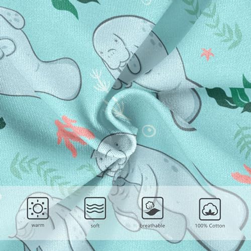 Fisyme Sea Cute Manatees Boys Underwear Briefs Soft Cotton Kids Toddler Training Underwear 4T2