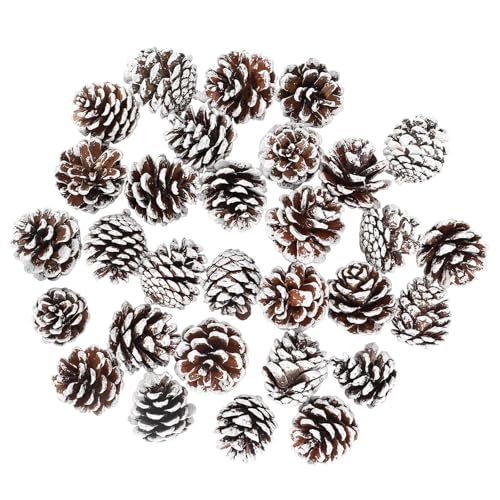 Tannenzapfen, 30pcs Weihnachten Tannenzapfen,2-3cm Natürliche Mini...