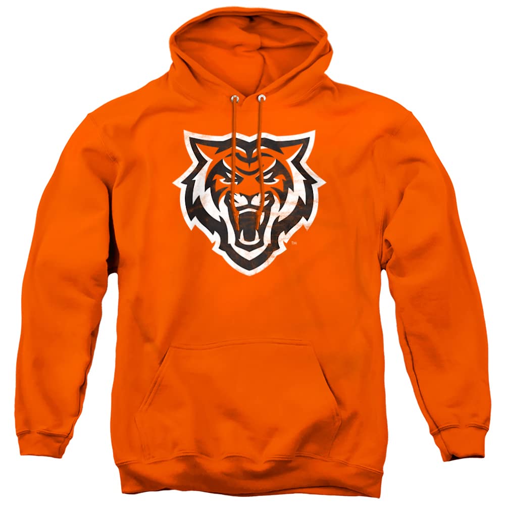 LOGOVISION Official Collegiate Distressed Primary Logo Adult Pullover Hoodie Collection — view 108