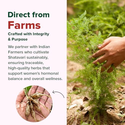 Image of VAHDAM Shatavari Capsules | Menopause, Lactation, Postnatal Recovery & Hormonal Balance | 5X More Potent than Regular Powder | Dual Spectrum Formula | Vegan, Gluten-Free | 60 Veg Capsules