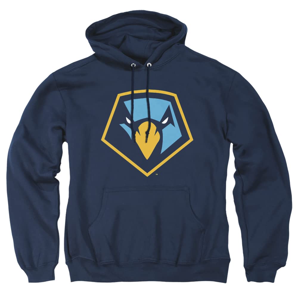 LOGOVISION Official Collegiate Distressed Primary Logo Adult Pullover Hoodie Collection — view 63