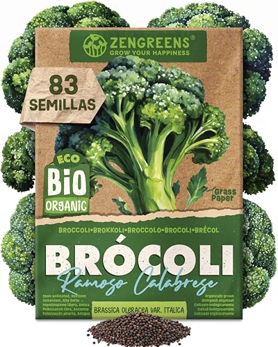 ZenGreens® - Semillas de brócolibio - verduras para cultivar fácilmente en el jardín, balcón o parterre elevado - hortalizas - brécol, bróquil - ramoso calabrese