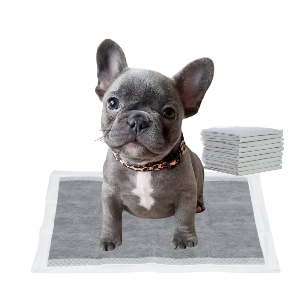 How Do I Teach My Puppy To Control His Bladder