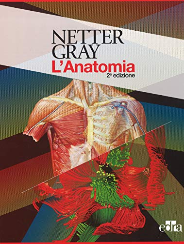  Netter Gray. L\'anatomia. La chiarezza e il fascino dell\'anatomia: Anatomia del Gray. Le basi anatomiche per la pratica clinica-Atlante di anatomia umana [Due volumi indivisibili]