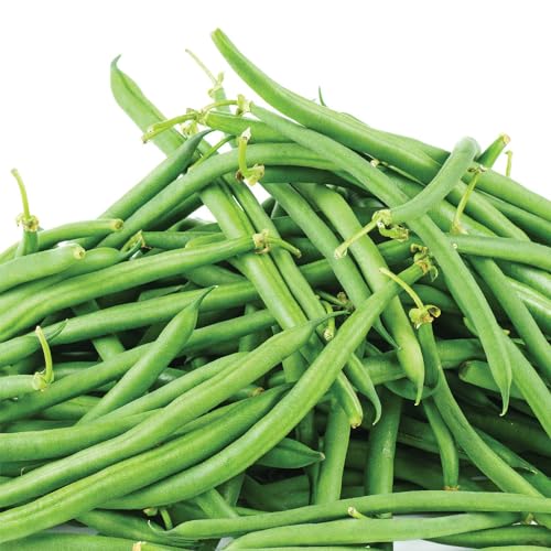 Image of Ferry-Morse Online Edition Bean Jack's Magic Pole Vegetable Plant Seeds - GMO Free, Outdoor - 7 Pack (Ferry-Morse Exclusive)