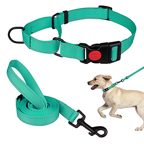 Martingale Dog Collar and Leash Set Martingale Collars for Dogs Reflective Martingale Collar for Small Medium Large Dogs(Mint Green&S)